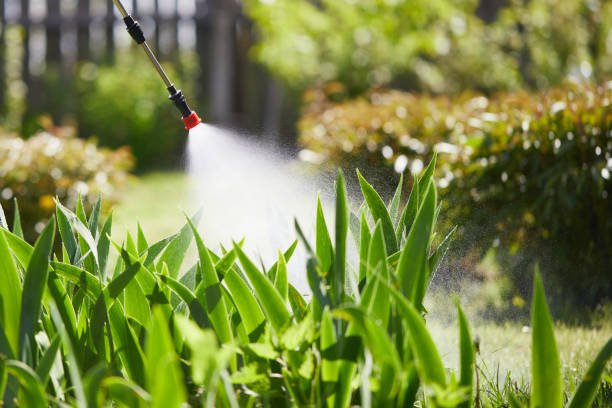 24/7 Emergency Wasp Removal experts in Jasper, FL