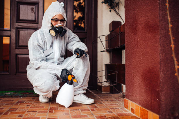 Reliable Wasp Removal contractor in Jasper, FL by Show Me Pest Control